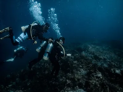 體驗活動,水肺潛水,東北角,北海岸,龍洞,PADI,潛水中心,裝備出租中心,場地出租,課程報名,體驗報名,一日遊