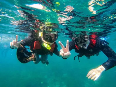 體驗活動,浮潛體驗,東北角,北海岸,龍洞,PADI,潛水中心,裝備出租中心,場地出租,課程報名,體驗報名,一日遊