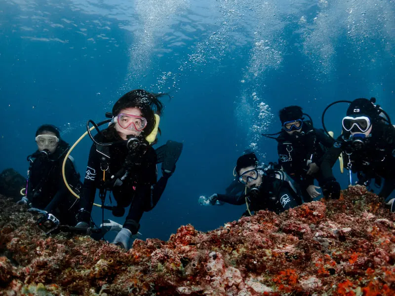 FD,水肺潛水,東北角,北海岸,龍洞,PADI,潛水中心,裝備出租中心,場地出租,課程報名,體驗報名,一日遊,東北角,北海岸,龍洞,PADI,潛水中心,裝備出租中心,場地出租,課程報名,體驗報名,一日遊