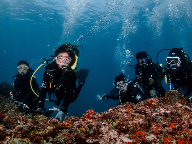 龍洞 Fun Dive 休閒潛水體驗,龍洞岬提供東北角龍洞浮潛體驗、PADI 水肺潛水課程、SUP 立槳、攀岩活動，以及浮潛、自由潛水、水肺潛水裝備租借，位於北海岸龍洞灣和美國小旁，是距離下水點最近的專業潛水中心。