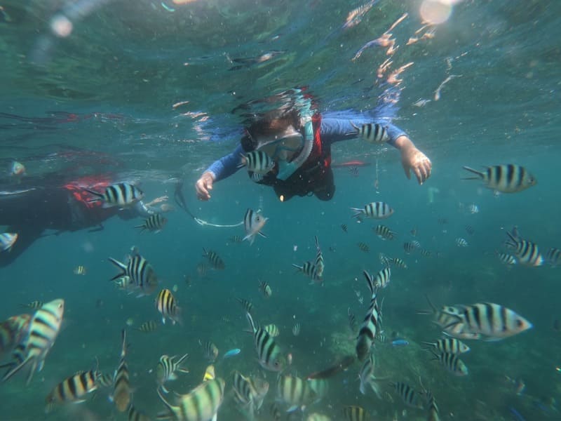 龍洞灣浮潛體驗，教練帶領遊客浮潛,龍洞岬提供東北角龍洞浮潛體驗、PADI 水肺潛水課程、SUP 立槳、攀岩活動，以及浮潛、自由潛水、水肺潛水裝備租借，位於北海岸龍洞灣和美國小旁，是距離下水點最近的專業潛水中心。